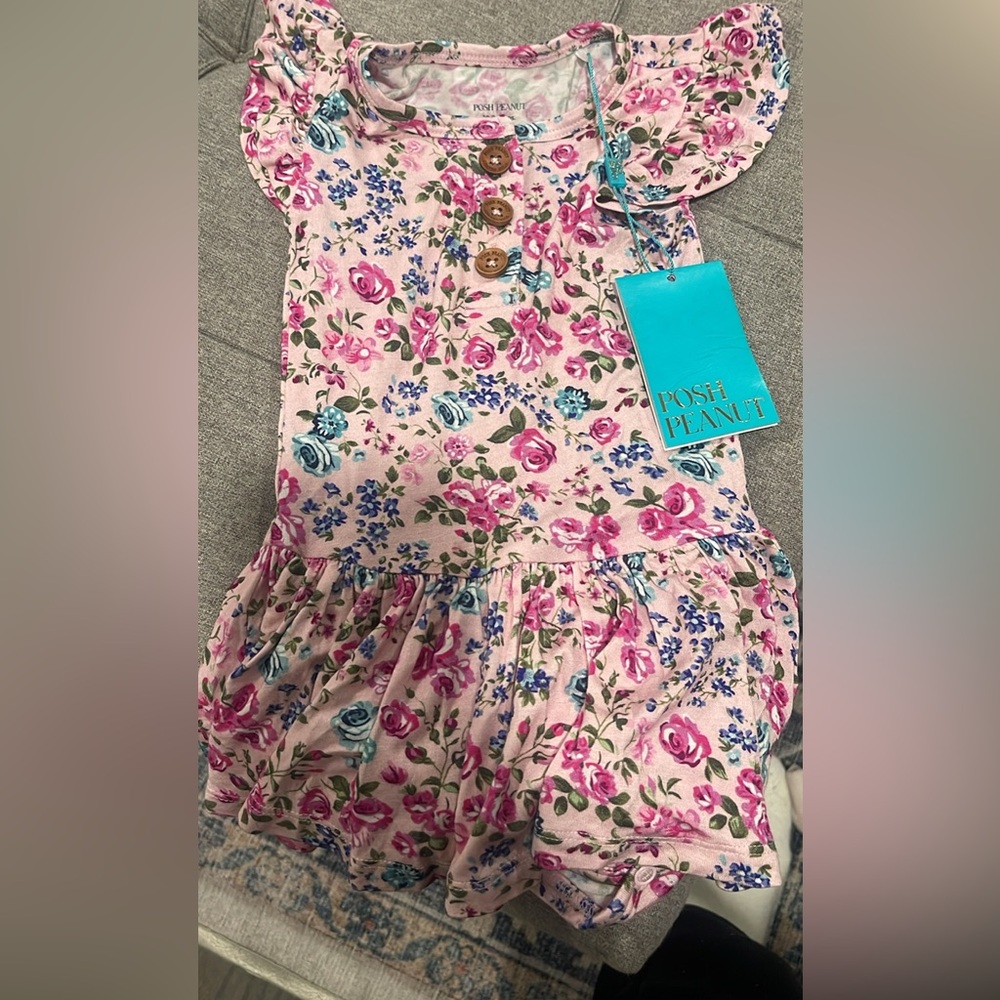 Posh peanut bodysuit 18-24 months